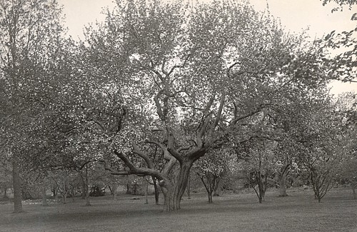  Edgemere Gardens